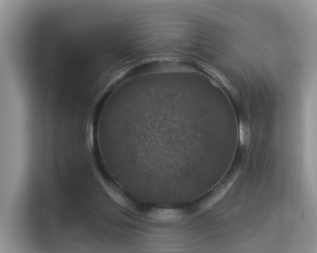 X0000115330205200911091252