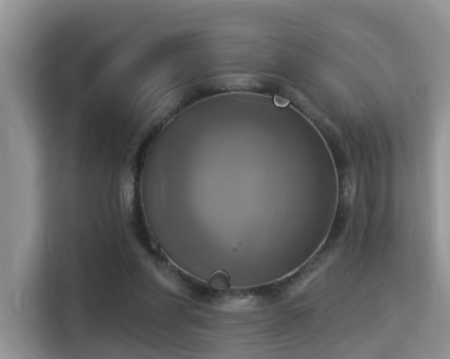 X0000115330206200911091252
