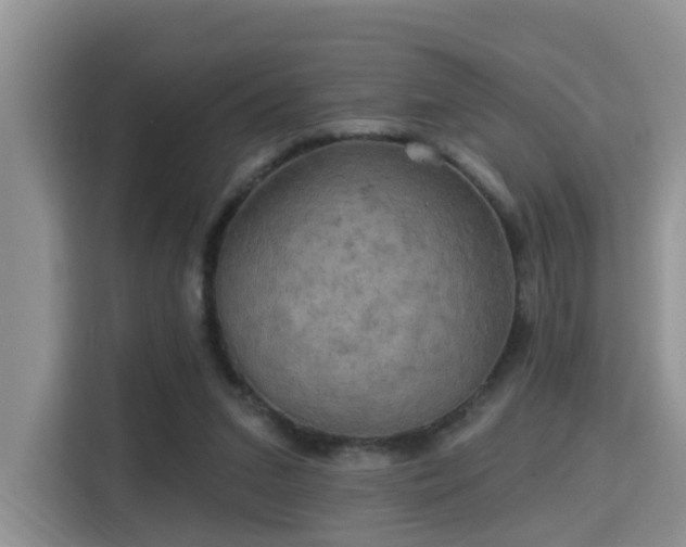 X0000115330207200911091252