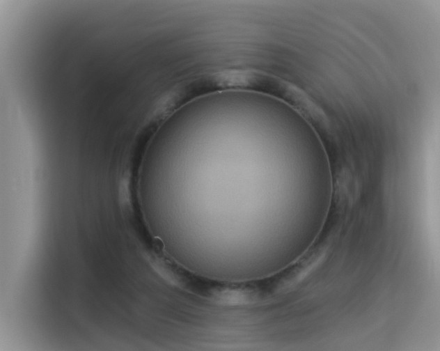 X0000115330209200911091252