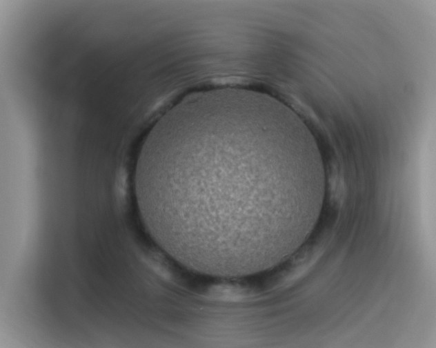 X0000115330211200911091252