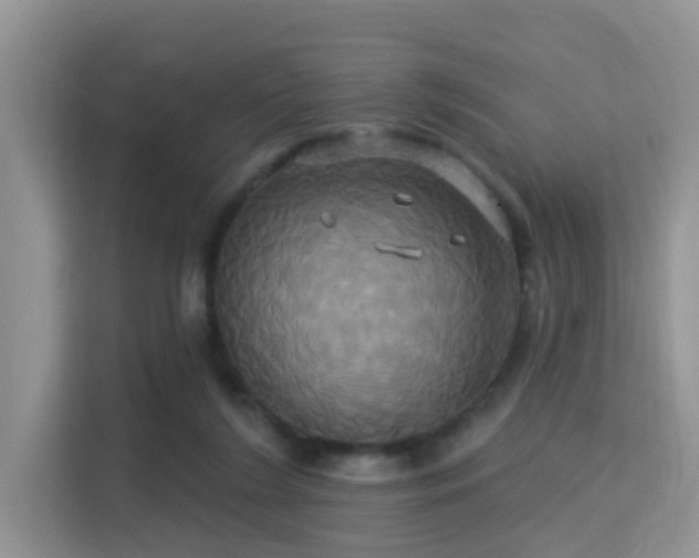 X0000115330212200911091252