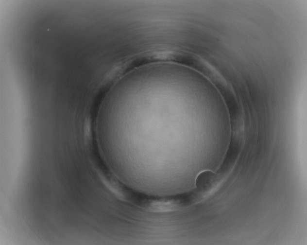 X0000115330213200911091252