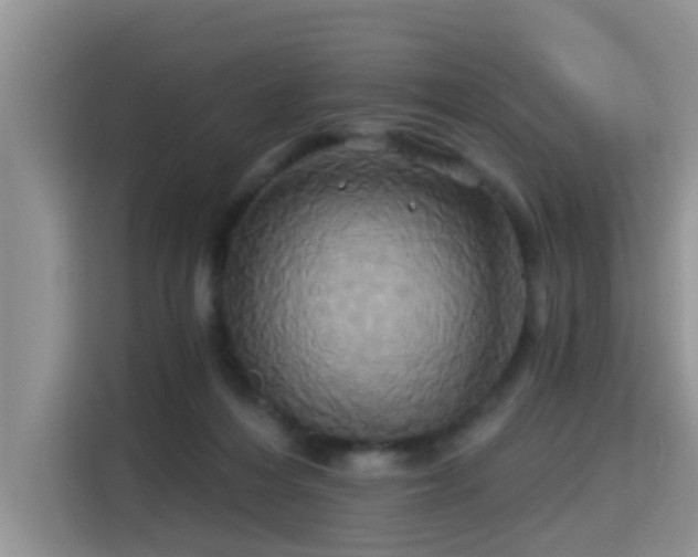 X0000115330216200911091251