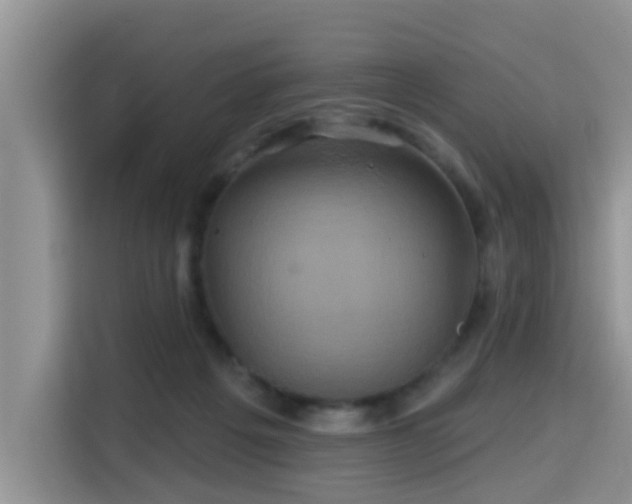 X0000115330217200911091251