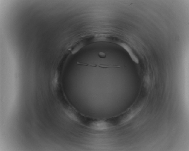 X0000115330219200911091251