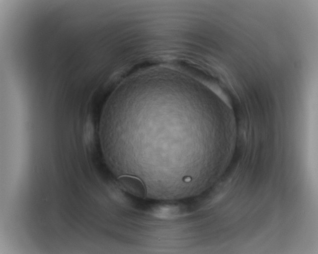 X0000115330220200911091251