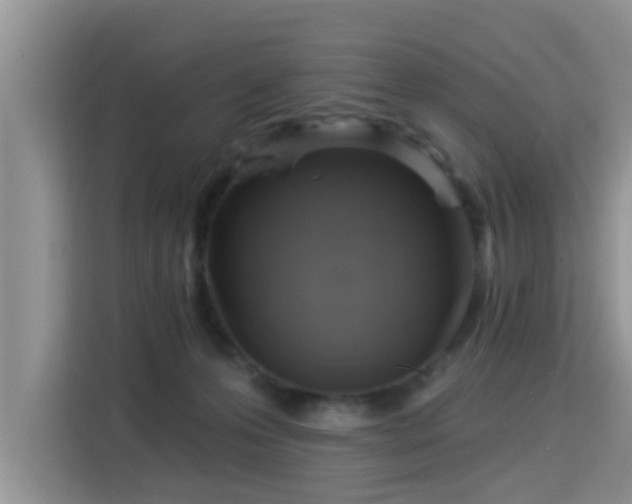 X0000115330223200911091251