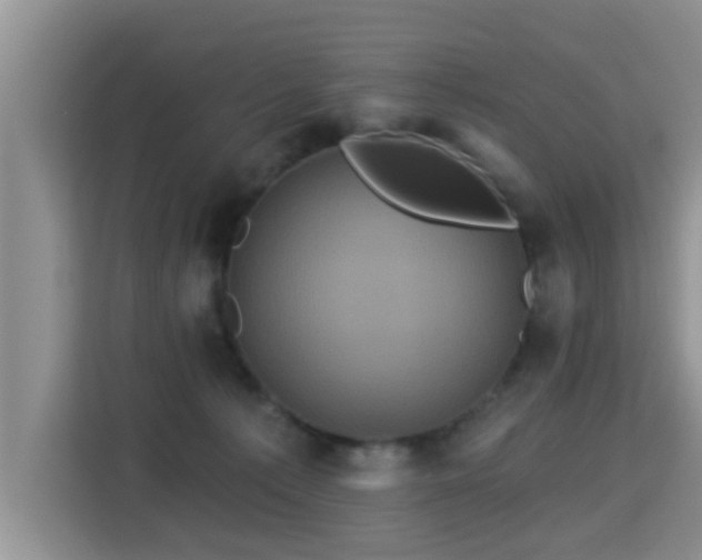 X0000115330225200911091251