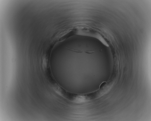 X0000115330227200911091251