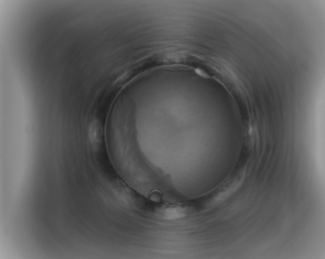 X0000115330228200911091251