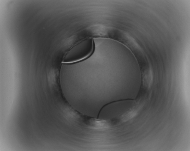 X0000115330229200911091251