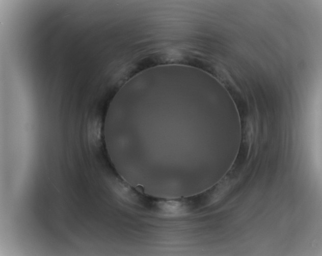X0000115330230200911091251