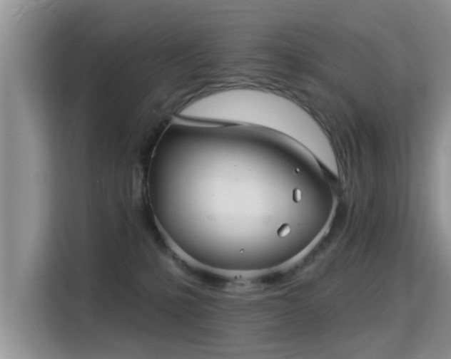 X0000115330231200911091251