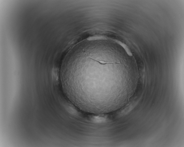 X0000115330232200911091251