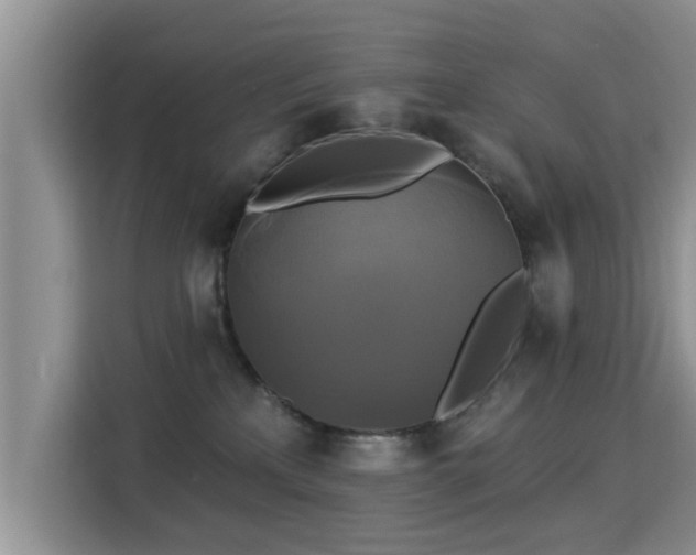 X0000115330233200911091251