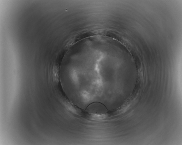 X0000115330234200911091251