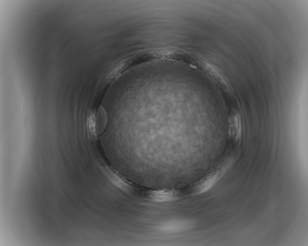 X0000115330238200911091251
