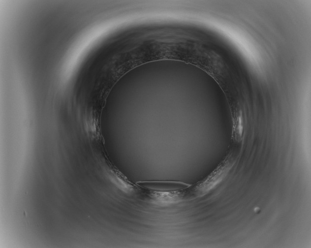 X0000115330239200911091251