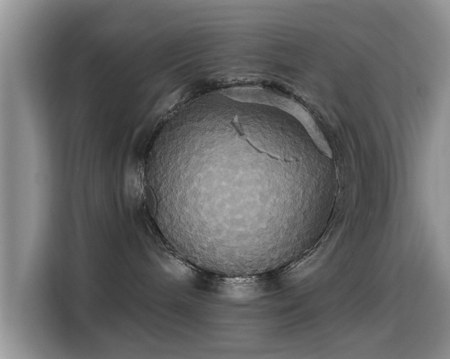 X0000115330240200911091251