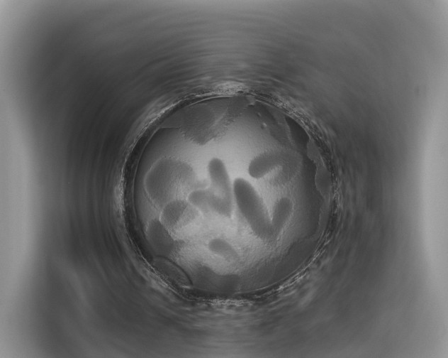 X0000115330242200911091251