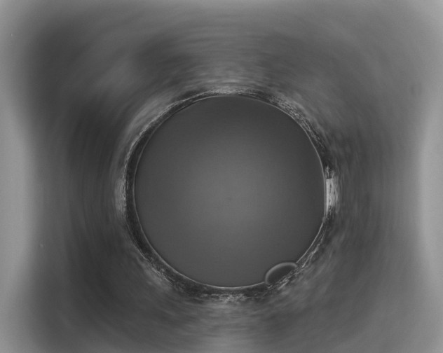 X0000115330243200911091251