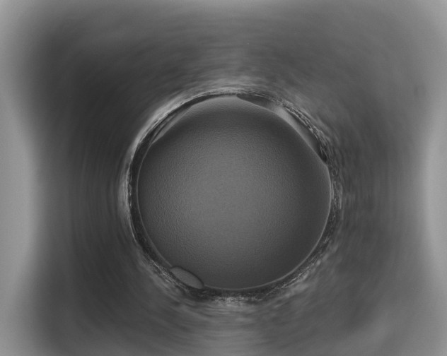 X0000115330244200911091251