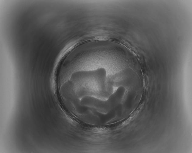 X0000115330245200911091251