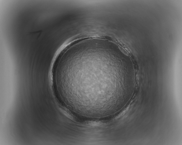 X0000115330246200911091251