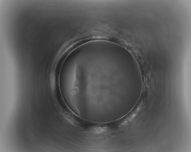 X0000115330247200911091251