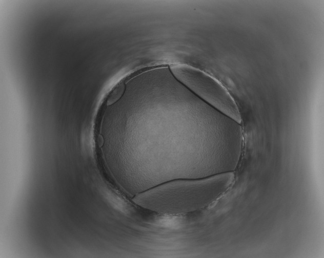 X0000115330248200911091251