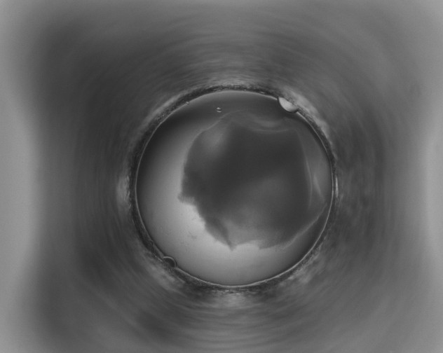 X0000115330249200911091251