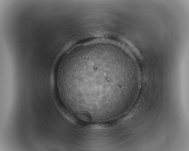 X0000115330250200911091251