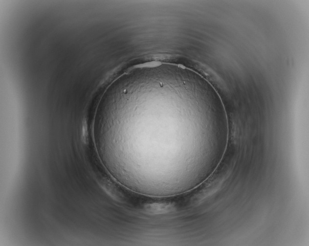 X0000115330251200911091251