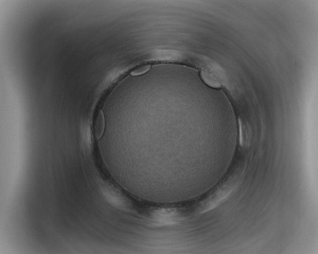 X0000115330252200911091251