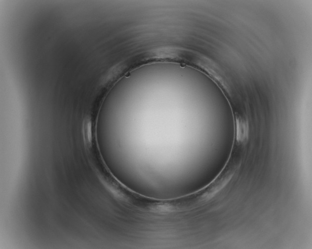 X0000115330253200911091251