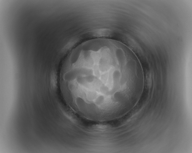 X0000115330255200911091251
