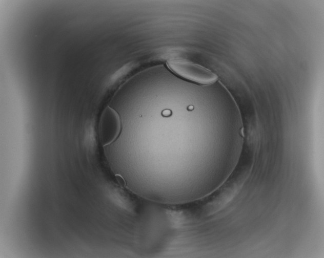 X0000115330256200911091251