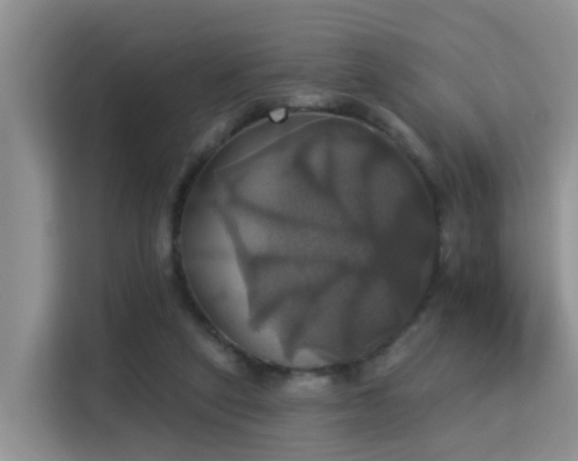 X0000115330257200911091251