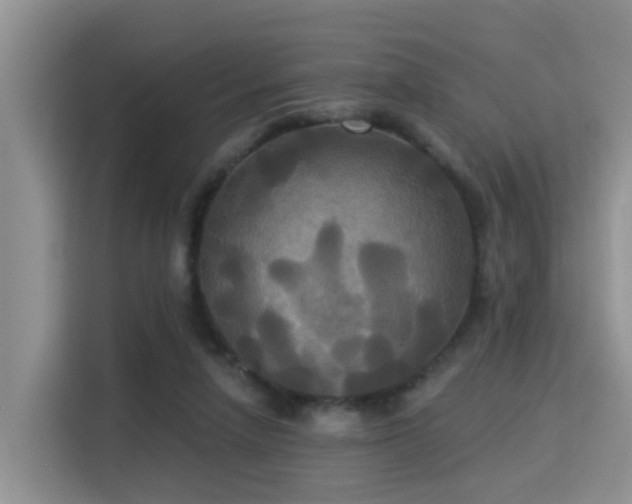 X0000115330258200911091251