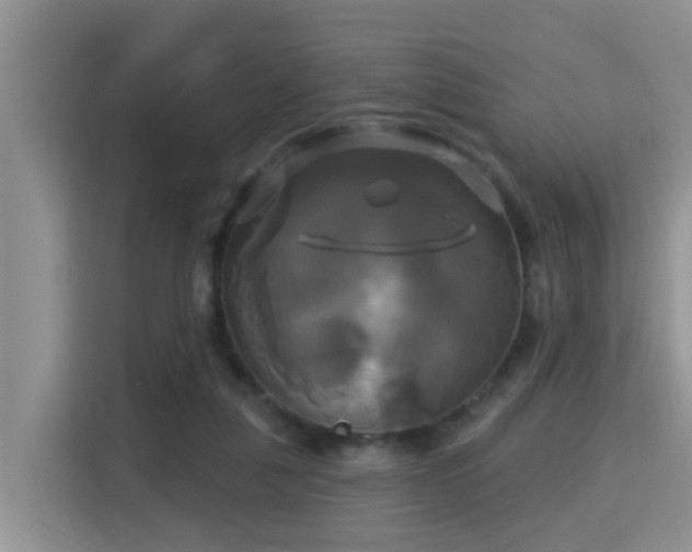 X0000115330259200911091251