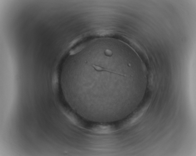 X0000115330260200911091251