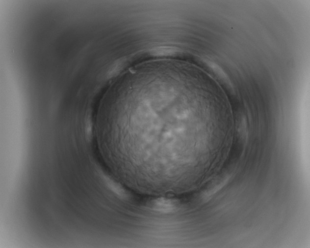 X0000115330261200911091251