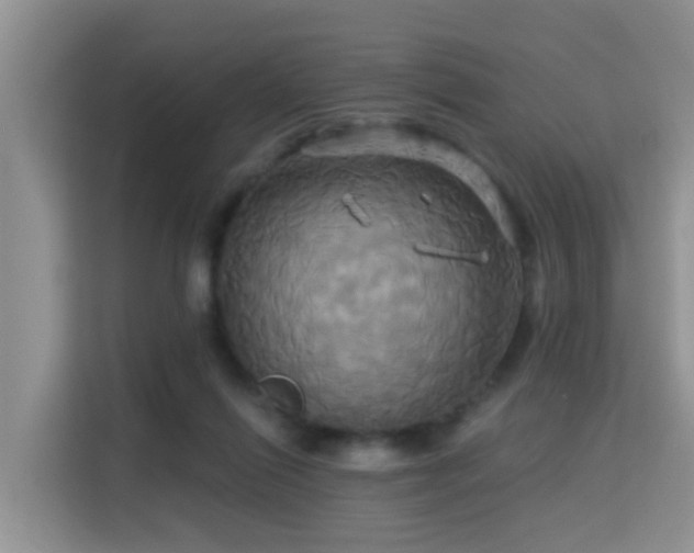X0000115330262200911091251