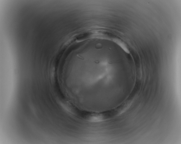 X0000115330263200911091251