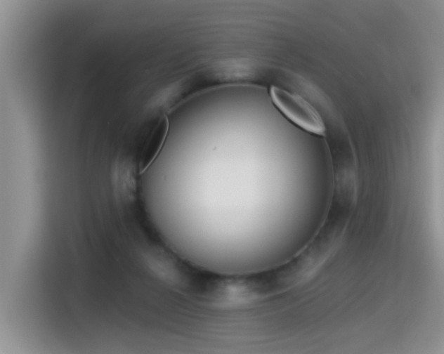 X0000115330264200911091251