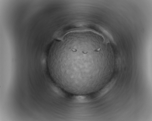 X0000115330265200911091251
