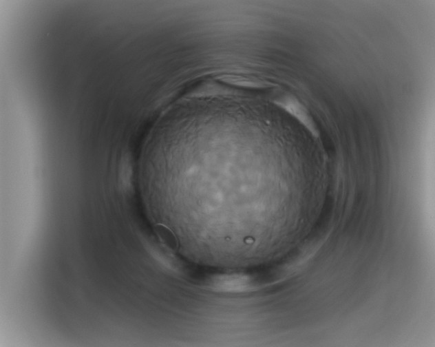 X0000115330266200911091251