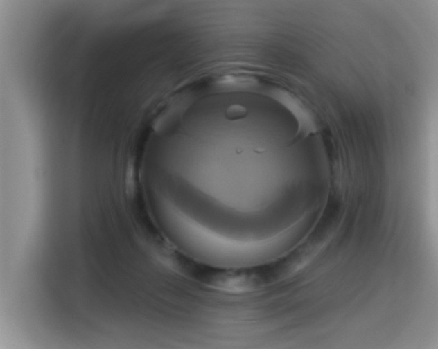 X0000115330267200911091251