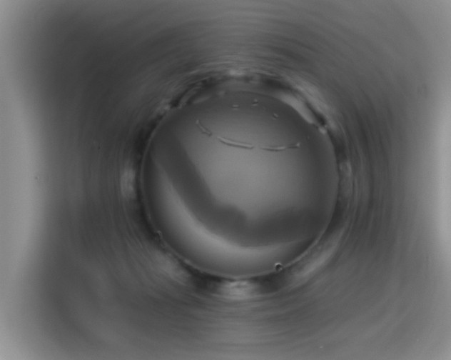 X0000115330269200911091251